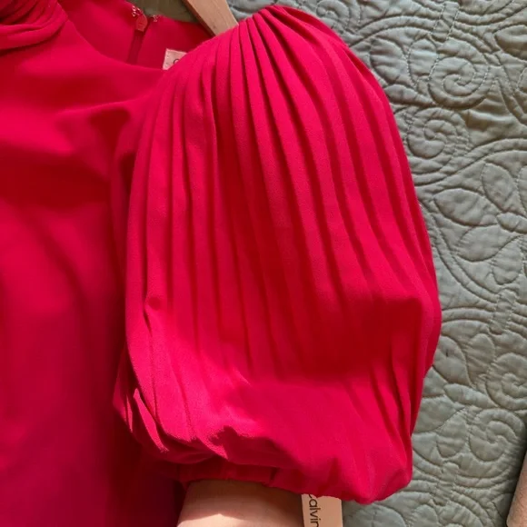 NWT Calvin Klein Hot Pink Pleated Puff Sleeve Dress Size 2 - Picture 4 of 15
